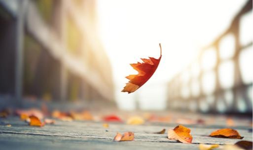 国际贸易实务（双语）