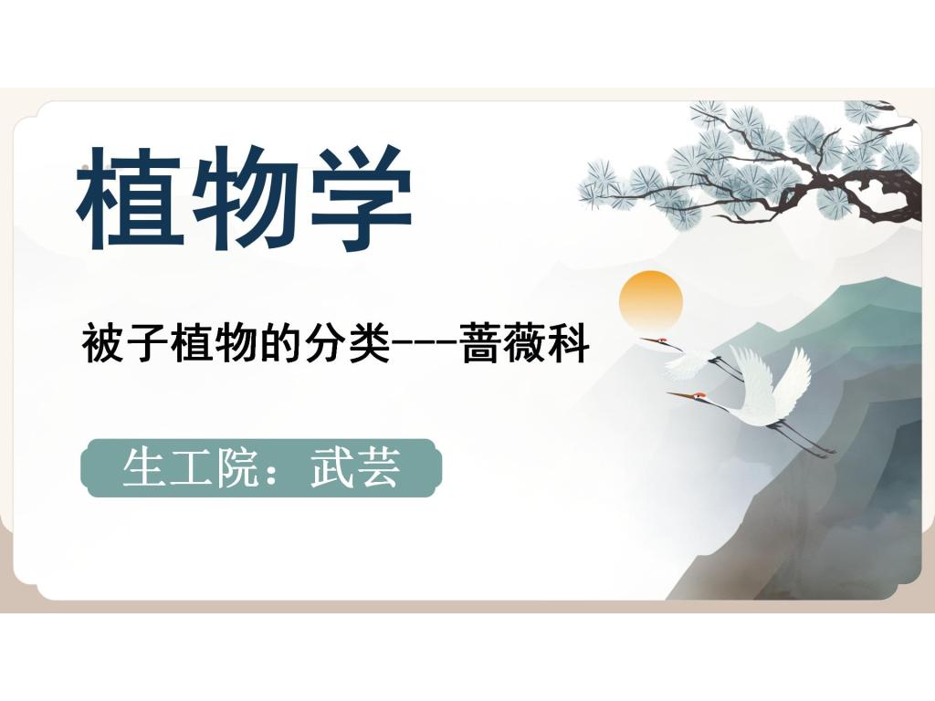 被子植物的分类------蔷薇科